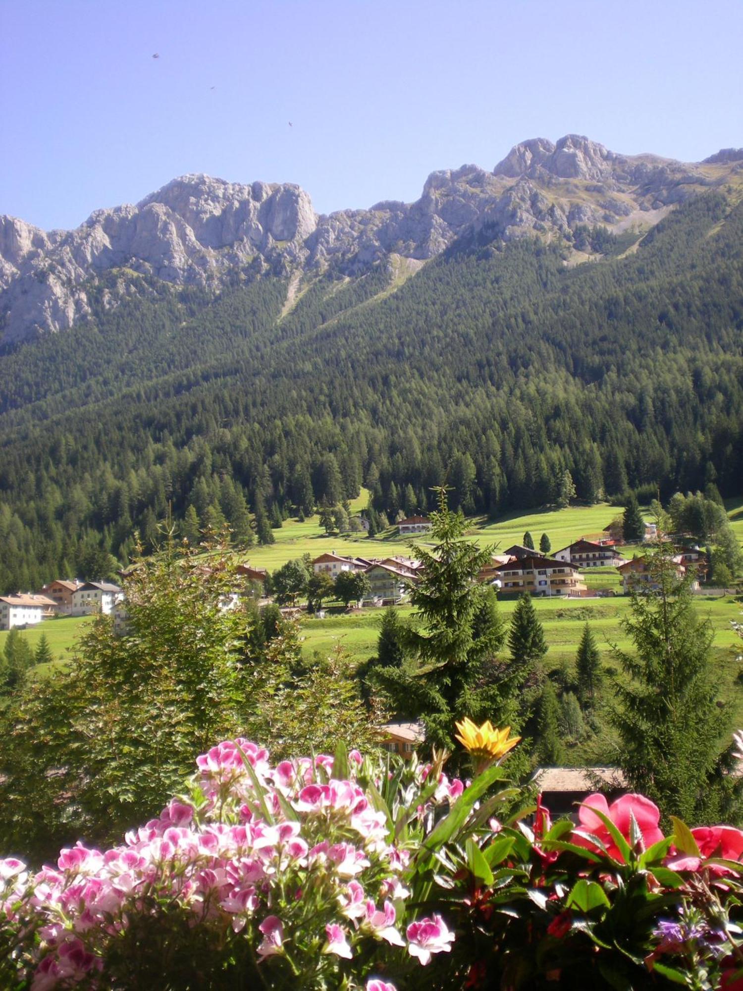 Hotel Des Alpes Soraga Esterno foto
